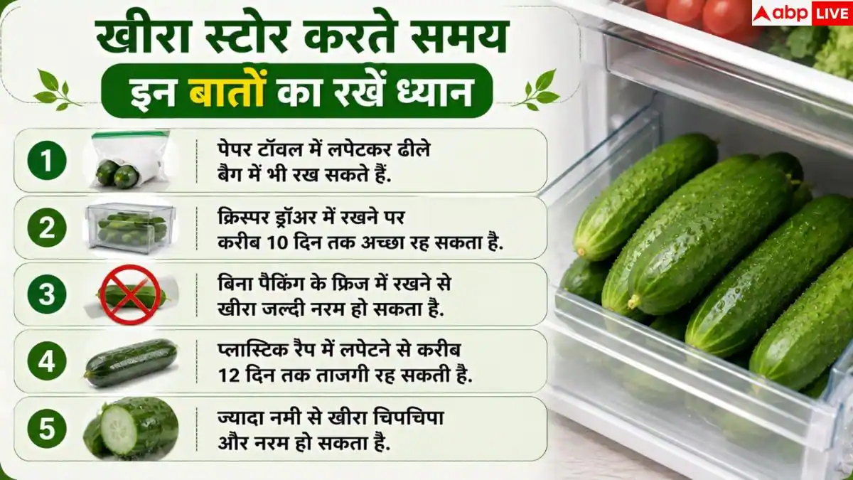 Cucumber Storage Tips: फ्रिज में नरम पड़ जाता है खीरा? 1 आसान ट्रिक से 20 दिन रखें फ्रेश