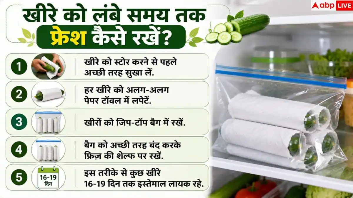 Cucumber Storage Tips: फ्रिज में नरम पड़ जाता है खीरा? 1 आसान ट्रिक से 20 दिन रखें फ्रेश
