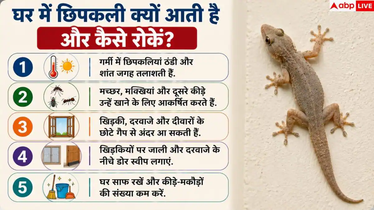Home Remedies For Lizards: घर में बार-बार आती है छिपकली? बिना मारे भगाने के आसान हैक्स