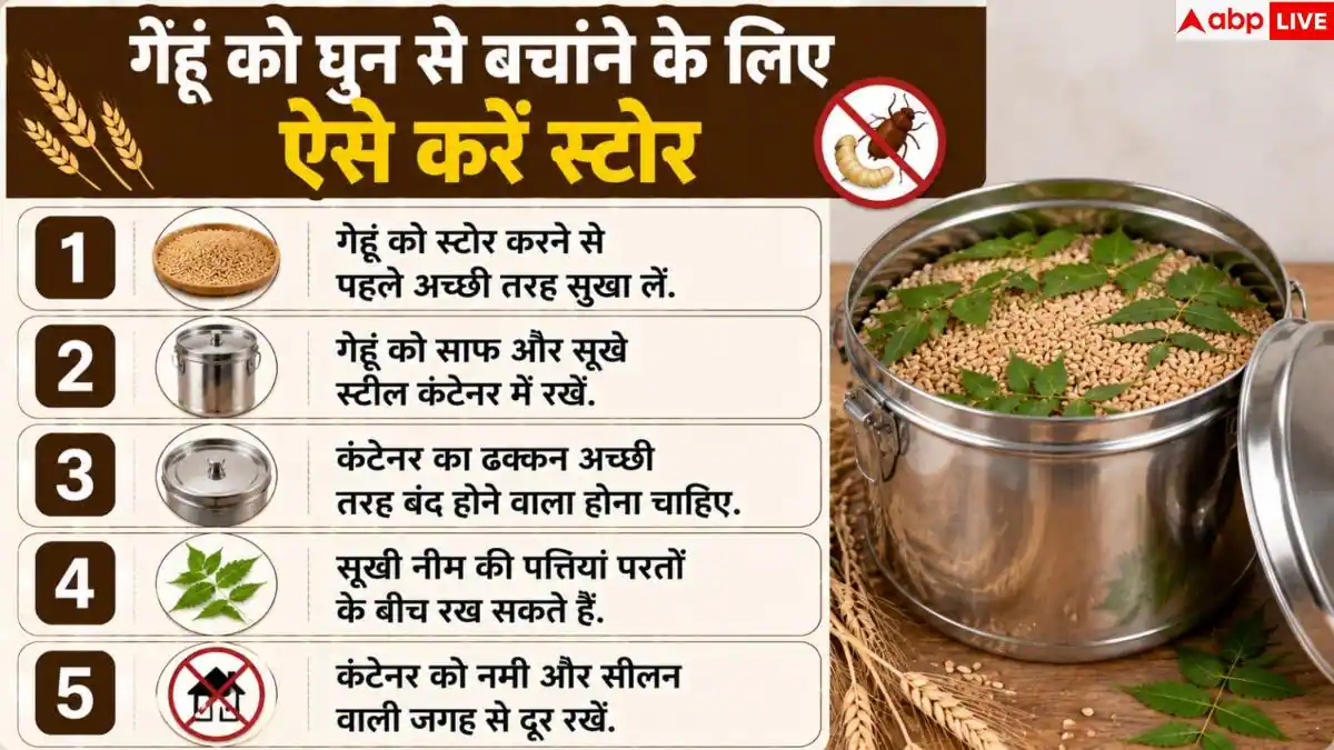 How To Store Wheat: गेहूं में नहीं लगेगा घुन! सालभर स्टोर करने के लिए अपनाएं ये देसी हैक्स