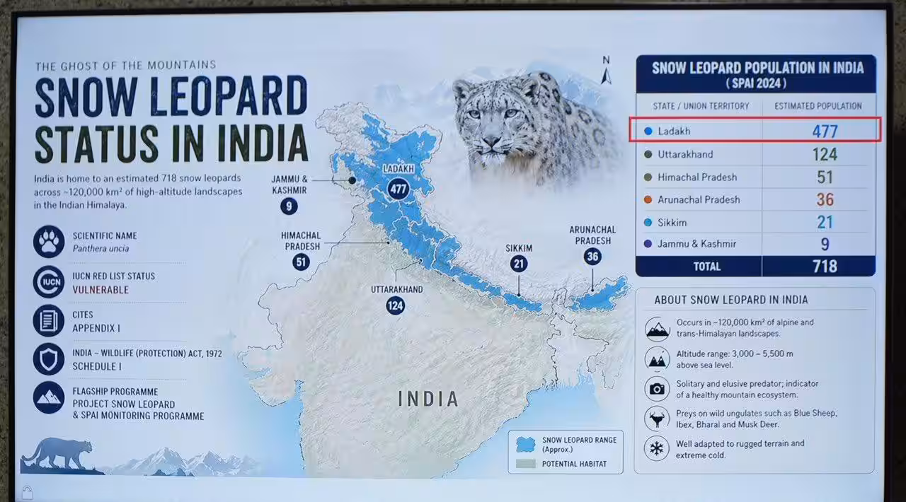 India First High Altitude Ladakh Safari : लद्दाख में शुरू होगी भारत की पहली हाई-एल्टीट्यूड सफारी, जानें क्या है खास?