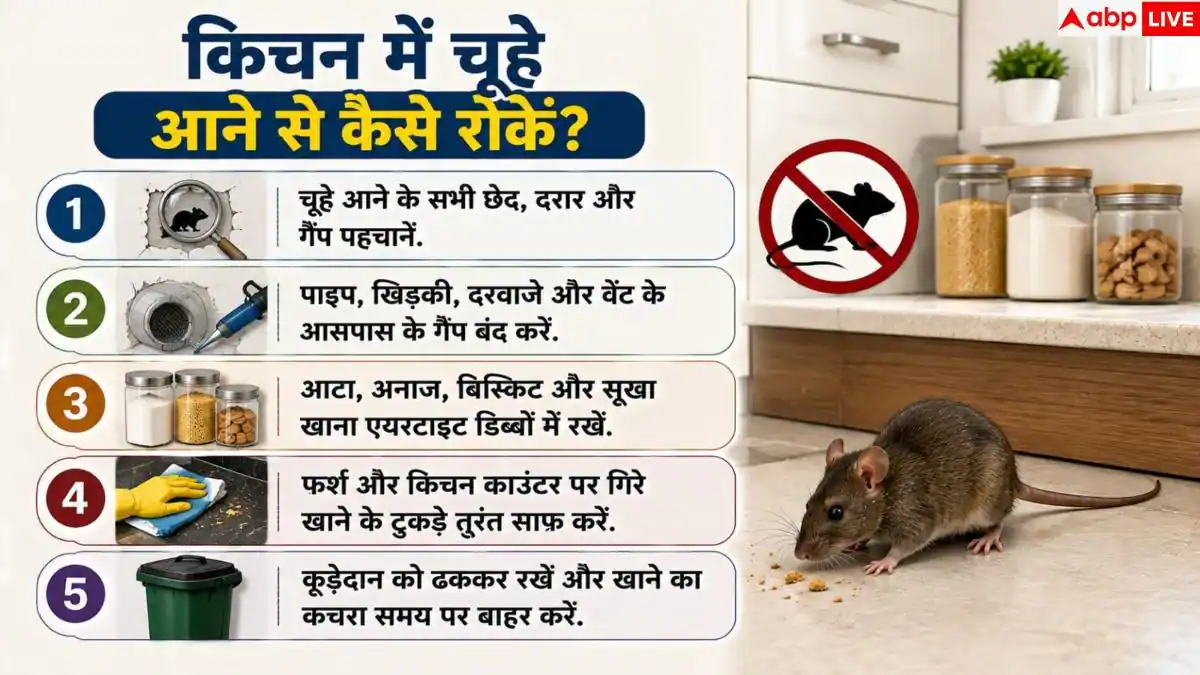 Rat Prevention Tips: किचन में चूहों के आतंक से हैं परेशान? ऐसे हमेशा के लिए करें सफाया