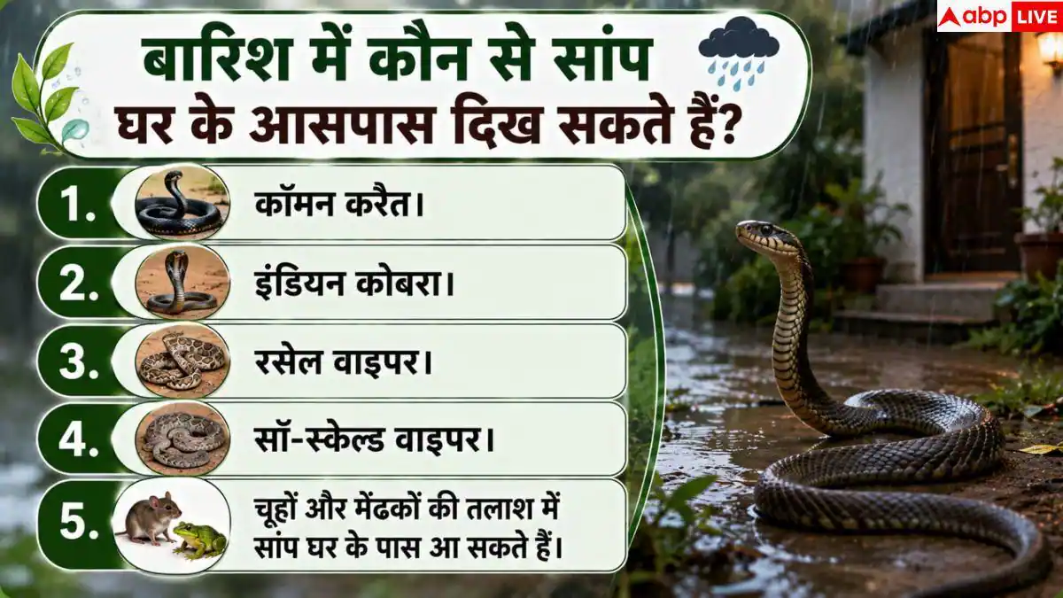 Snakes In Monsoon: मानसून में घर के पास क्यों आते हैं जहरीले सांप? जानें बचाव के तरीके