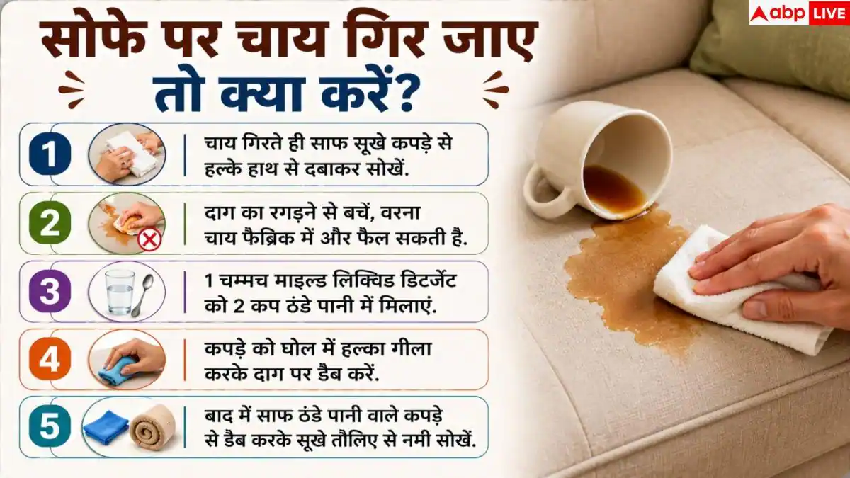 Sofa Cleaning Tips: सोफे पर चाय गिर जाए तो तुरंत क्या करें, पाउडर या पानी...क्या आएगा काम?