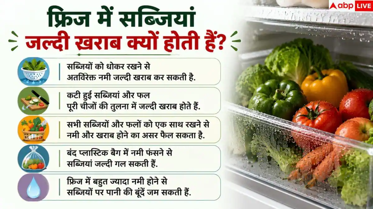 Vegetable Storage: फ्रिज में गलने लगती हैं सब्जियां? 1 आसान हैक से हफ्तों रखें फ्रेश