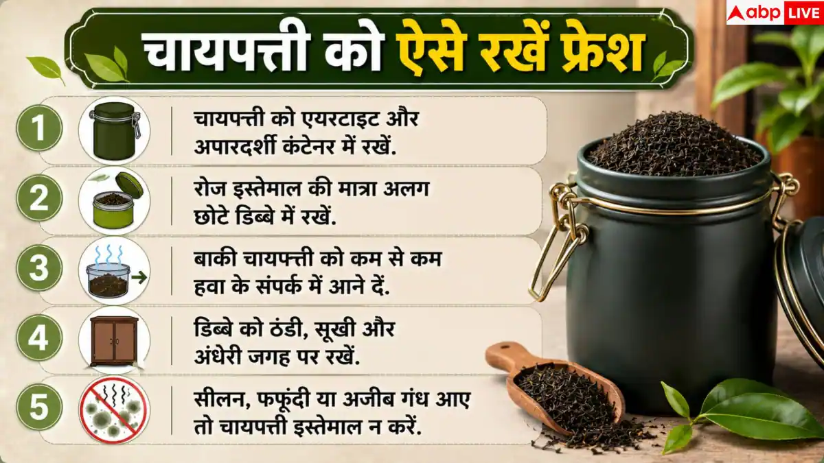 डिब्बा बंद होने पर भी खराब हो जाती है चायपत्ती? ऐसे रखें फ्रेश