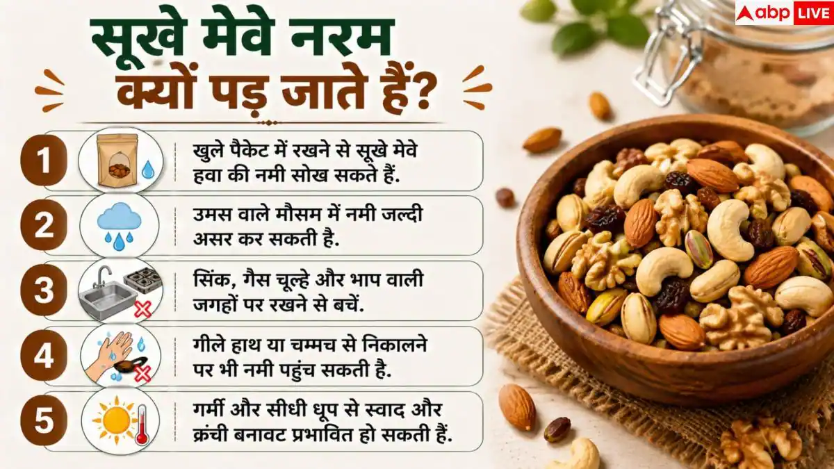 Dry Fruits Storage: काजू-बादाम पड़ जाते हैं नरम? 1 आसान ट्रिक से रहेंगे हमेशा क्रंची
