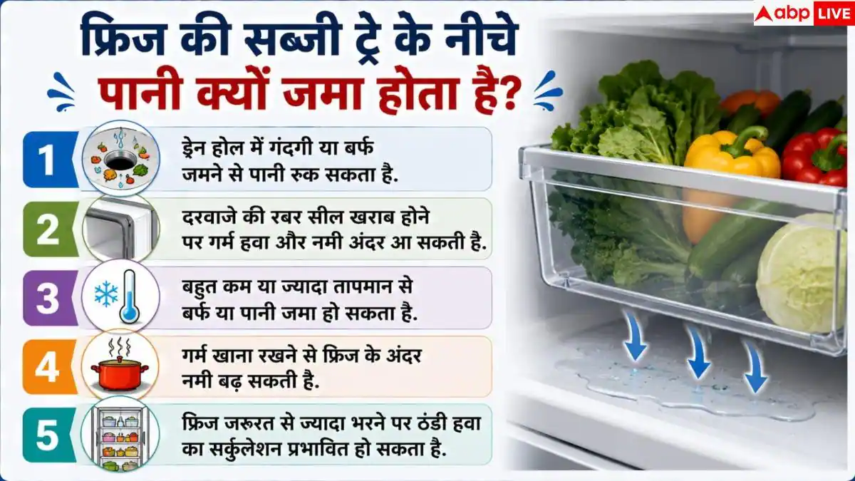 Fridge Water Leakage: फ्रिज में बार-बार जमा हो रहा है पानी? मैकेनिक बुलाने से पहले करें ये काम
