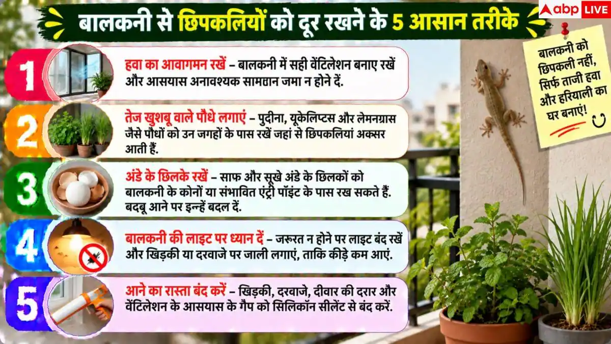 Lizard Repellent Tips: बालकनी में कभी नहीं आएगी छिपकली, ये तरीके करेंगे काम तमाम