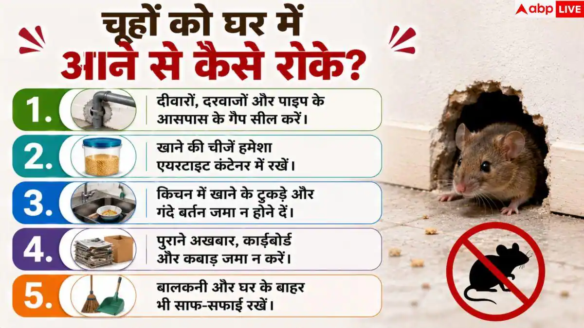 Prevent Rats At Home: चूहों के आतंक से पाना है छुटकारा? बिना जहर अपनाएं यह सीक्रेट ट्रिक