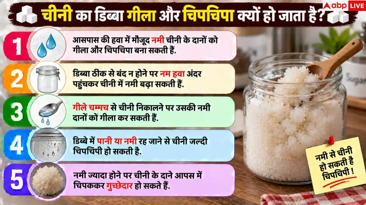 Sugar Storage: चीनी के डिब्बे में रखें ये 1 चीज, दूर रहेंगी सीलन और चींटियां