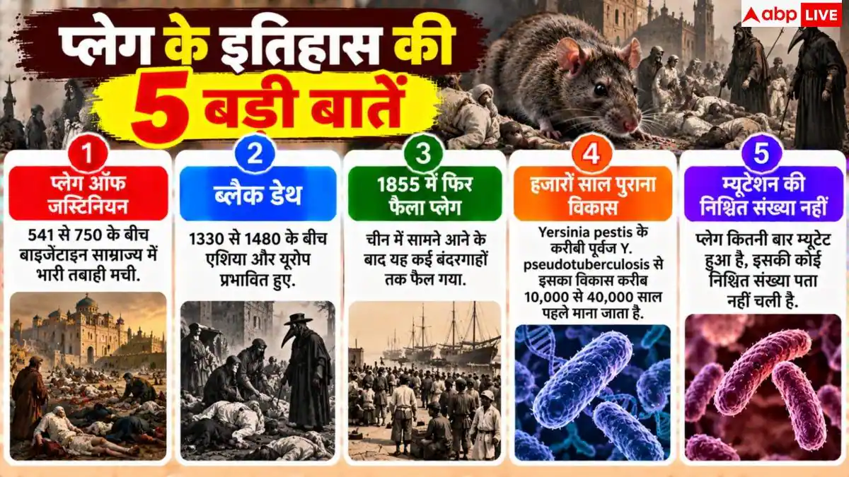 Plague Bacteria: कितने कम तापमान पर भी जिंदा रहता है प्लेग का वायरस, कितनी बार हुआ म्यूटेट?