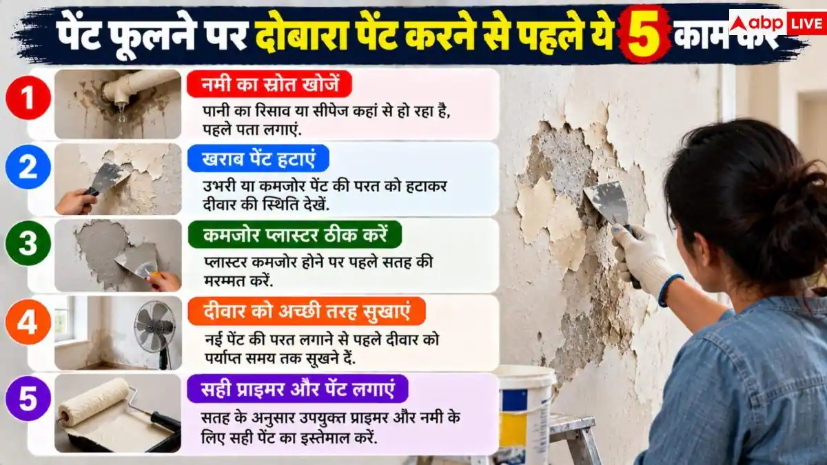 Wall Paint Bubbling: दीवार का पेंट उखड़ रहा है? सीधे दोबारा पेंट करने की न करें भूल