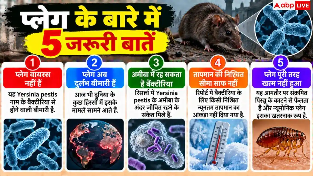 Plague Bacteria: कितने कम तापमान पर भी जिंदा रहता है प्लेग का वायरस, कितनी बार हुआ म्यूटेट?