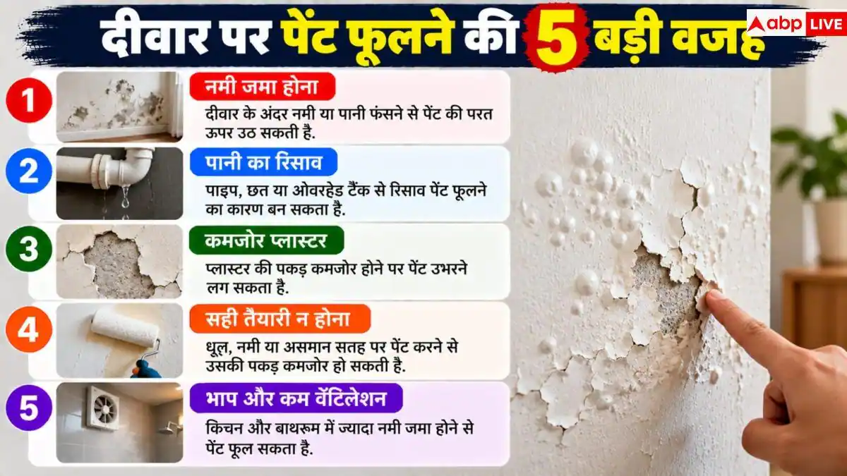 Wall Paint Bubbling: दीवार का पेंट उखड़ रहा है? सीधे दोबारा पेंट करने की न करें भूल